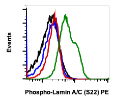 Phospho-Lamin A/C (Ser22) (CF12) rabbit mAb PE conjugate Antibody