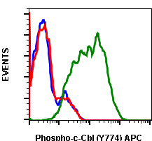 Phospho-c-Cbl (Tyr774) (R3B8) rabbit mAb APC conjugate Antibody