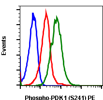 Phospho-PDK1 (Ser241) (F7) rabbit mAb PE conjugate Antibody