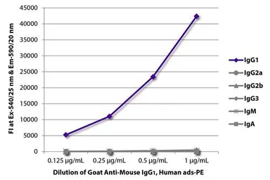 Goat Anti-Mouse IgG1 antibody, pre-adsorbed (PE). GTX02567