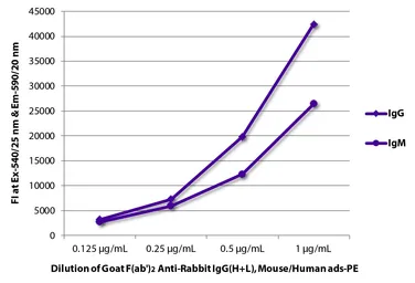 Goat Anti-Rabbit IgG antibody, F(ab')2 fragment, pre-adsorbed (PE). GTX04150-08