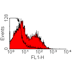 Mouse Anti-Rat kappa Light chain antibody [MRC OX-12] (PE). GTX76233