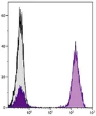 Goat Anti-Mouse IgG1 antibody, pre-adsorbed (PE). GTX02567