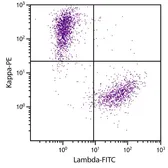 Goat Anti-Human kappa light chain antibody, F(ab')2 fragment, pre-adsorbed (PE). GTX04131-08