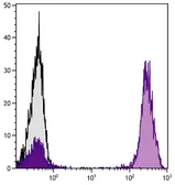 Goat Anti-Mouse IgG1 (Heavy chain) antibody, F(ab')2 fragment, pre-adsorbed (PE). GTX04206-08