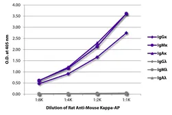 Rat Anti-Mouse kappa light chain antibody [H139-52.1] (AP). GTX04230-03