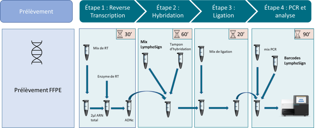 LymphoSign FR