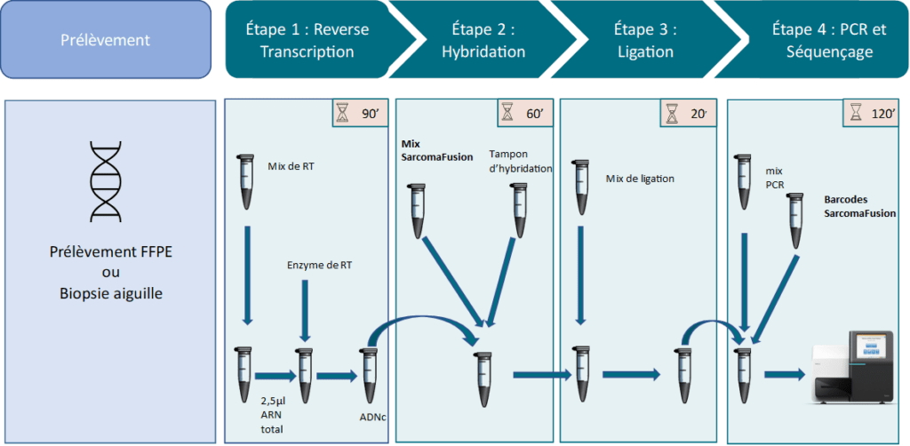 SarcomaFusion FR