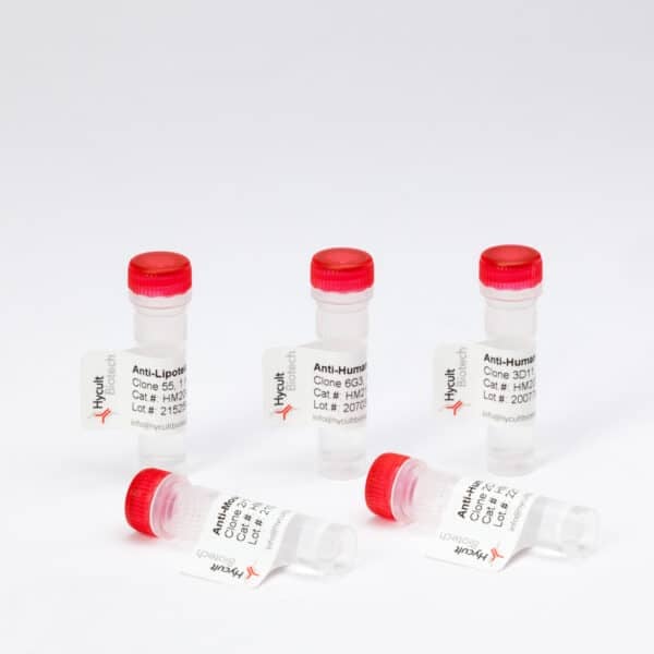 Hycult Biotech antibody vials