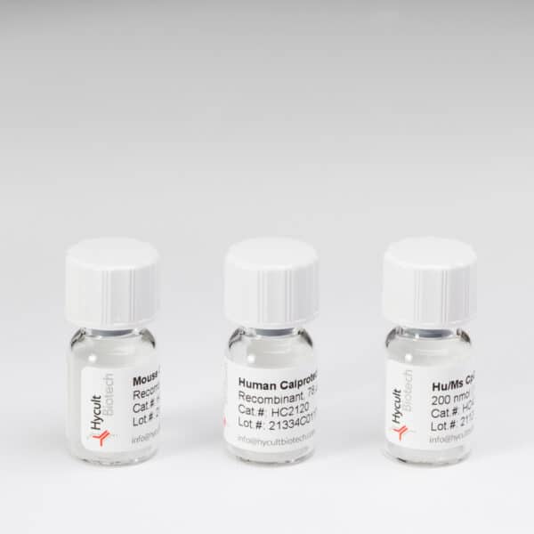 Freeze dried standard vials