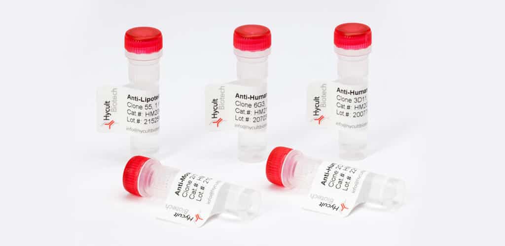 Hycult Biotech antibody in vial