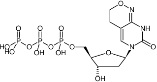 Structural formula of dPTP (6H,8H-3,4-Dihydro-pyrimido(4,5-c)(1,2)oxazin-7-one-8-β-D-2'-deoxy-ribofuranoside-5'-triphosphate, Sodium salt)