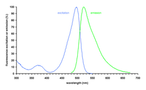 Excitation (left) and emission (right) spectra of green-fluorescent DNA stain bound to dsDNA.