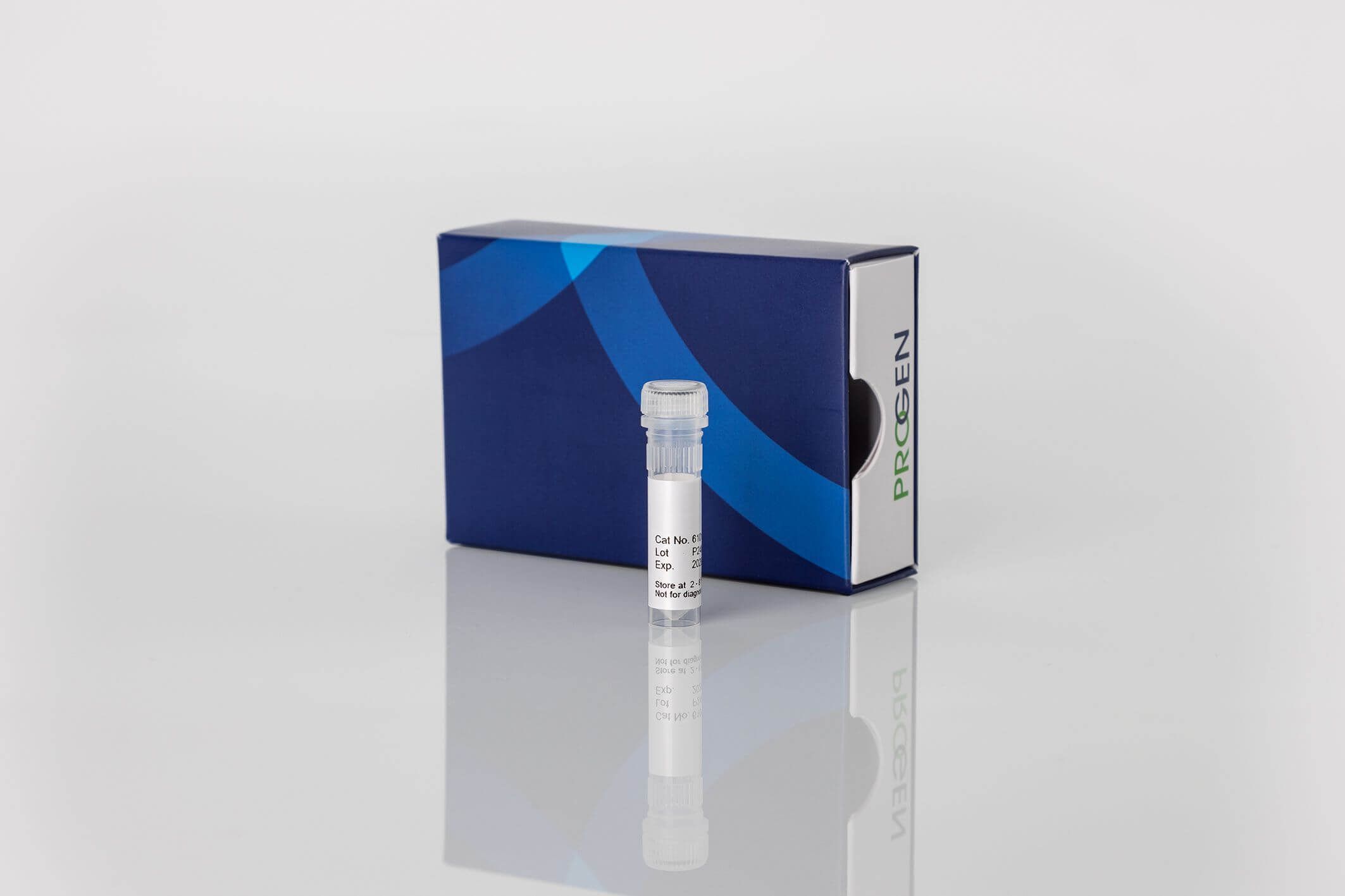 anti-Keratin K8 mouse monoclonal, Ks8-17.2, supernatant