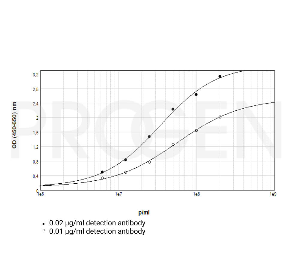 anti-M13/fd/F1 Filamentous Phages mouse monoclonal, B62-FE2, lyophilized, purified, 100 µg