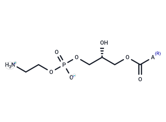 Lysophosphatidylethanolamines (egg)