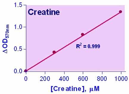 Creatine Assay Kit