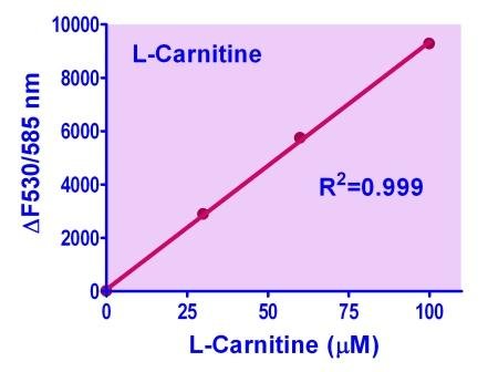 L-Carnitine Assay Kit