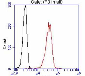 Clone OTI4C5, Anti-DDK (FLAG) monoclonal antibody, Phycoerythrin (PE)