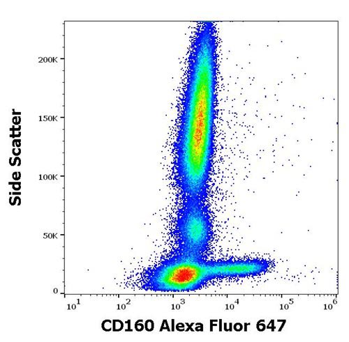 Anti-CD160 Monoclonal Antibody (Clone:BY55) Alexa Fluor 647 conjugated