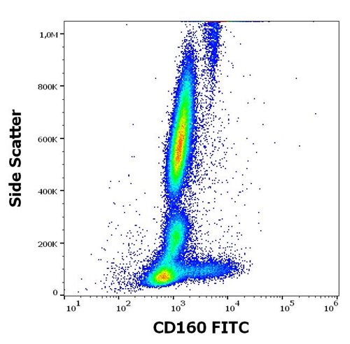 FITC Conjugated Anti-CD160 Monoclonal Antibody (Clone:BY55)