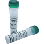 Lyophilized exosomes from LnCAP cell culture supernatant (2x30µg vial)