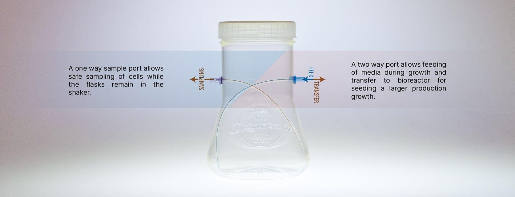 og-special-trt-diagram