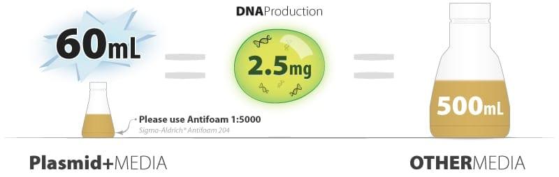 plasmid-DNA-production