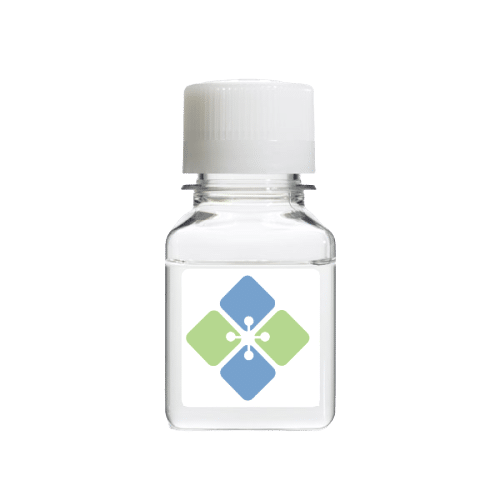 Heat Shock Bovine Serum Albumin