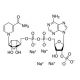 NADPH tetrasodium salt (CAS 2646-71-1) - chemical structure image