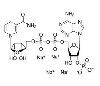 NADPH tetrasodium salt (CAS 2646-71-1) - chemical structure image