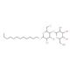 Dodecyl b-D-thiomaltopyranoside (CAS 148565-58-6) - chemical structure image