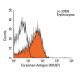 Forssman Antigen Antibody (M1/87) - Flow Cytometry - Image 9801