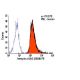 Integrin αV/β3/CD51/CD61 Antibody (23C6) - Flow Cytometry - Image 6076 