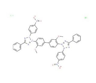 p-Nitroblue tetrazolium chloride (CAS 298-83-9) - chemical structure image