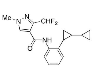 Sedaxane (CAS 874967-67-6) - chemical structure image