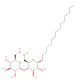 Tetradecyl b-D-maltopyranoside (CAS 18449-82-6) - chemical structure image