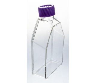 UltraCruz<sup>&reg;</sup> Flask, Suspension Culture, 250ml, 75cm2, vent cap, case: sc-200259 with purple vent caps for rel 