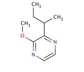 2-sec-Butyl-3-methoxypyrazine (CAS 24168-70-5) - chemical structure image