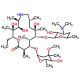 9-Deoxo-9a-aza-9a-homo Erythromycin A Desmethyl Azithromycin (CAS 76801-85-9) - chemical structure image