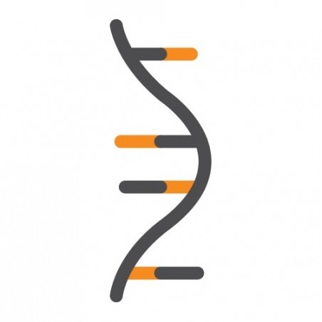 ExtractNow™ RNA Mini Kit