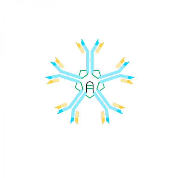 Biotin anti Human IgM Antibody (μ-chain specific)