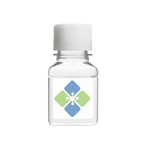 Goat Anti-Rabbit IgG (H+L) Biotin Conjugate