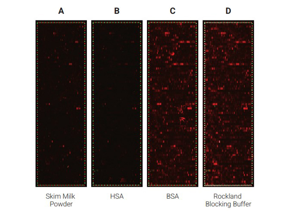 Comparison of the performance of different blocking reagents in epitope mappings with PEPperCHIP® Peptide Microarrays