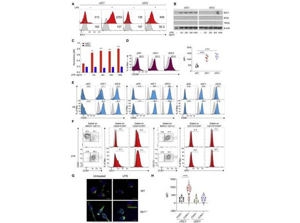 Assays using BSA