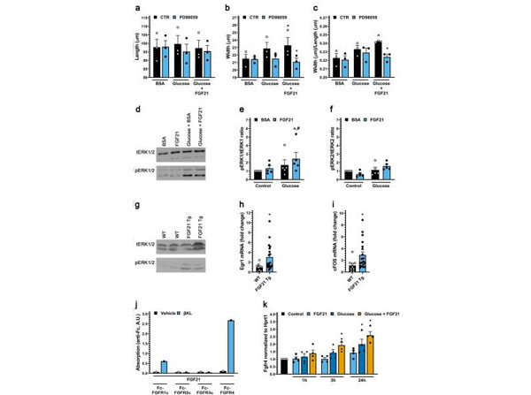 Assays using BSA