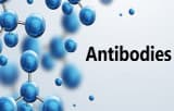 Purification kits and columns for antibodies