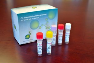 Transgenic knock-in mouse : TARGATT&#8482; Kits