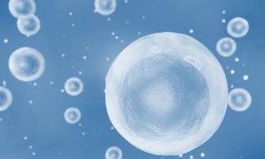 Phospho Flow Analysis