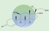 Cortisol